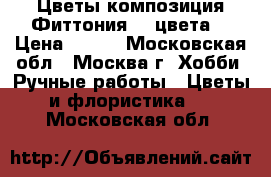 Цветы-композиция Фиттония. 3 цвета. › Цена ­ 200 - Московская обл., Москва г. Хобби. Ручные работы » Цветы и флористика   . Московская обл.